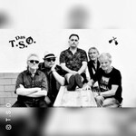 Scheiß Konzert T. S. O. (FSK 18)