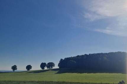 Wohnung Dürrröhrsdorf-Dittersbach Dittersbach - 2 Zimmer, 56 m&sup2;, 49.900&euro; | Angebot:22002722