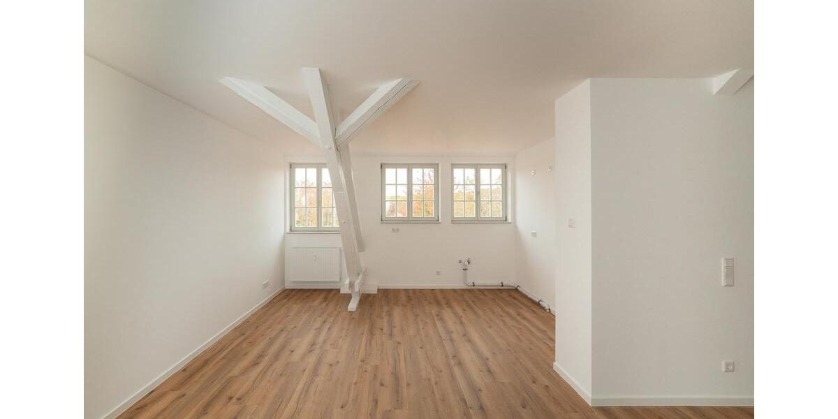 Dachgeschoßwohnung Dresden Loschwitz - 6 Zimmer, 160 m&sup2;, 2.200&euro; | Angebot:23432216