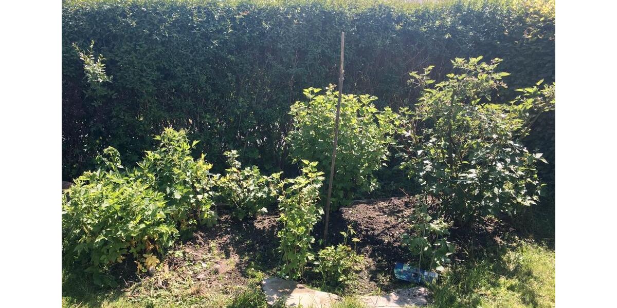 Einfamilienhaus Königsbrück - 12.000&euro; | Angebot:26517540