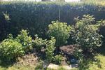 Einfamilienhaus Königsbrück - 12.000&euro; | Angebot:26517540