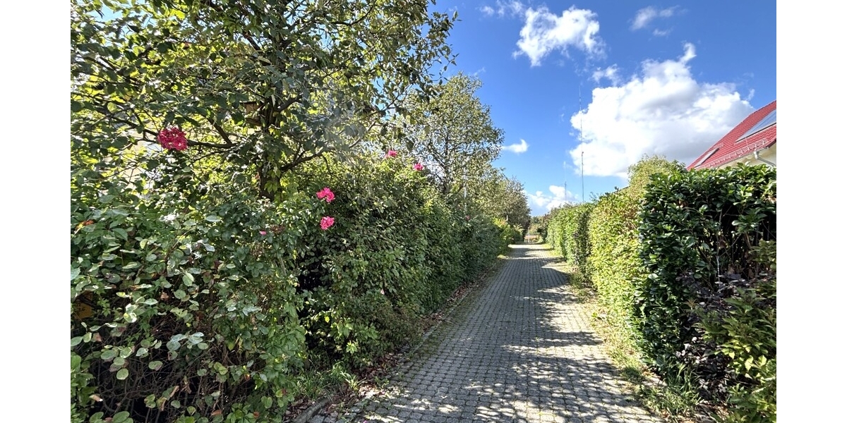 Großzügiges Reihenhaus für Familien in Dresden-Dölzschen: Ruhig, viel Platz & Top-Lage - Reihenmittelhaus Dresden / Dölzschen Dölzschen | Angebot:27350248