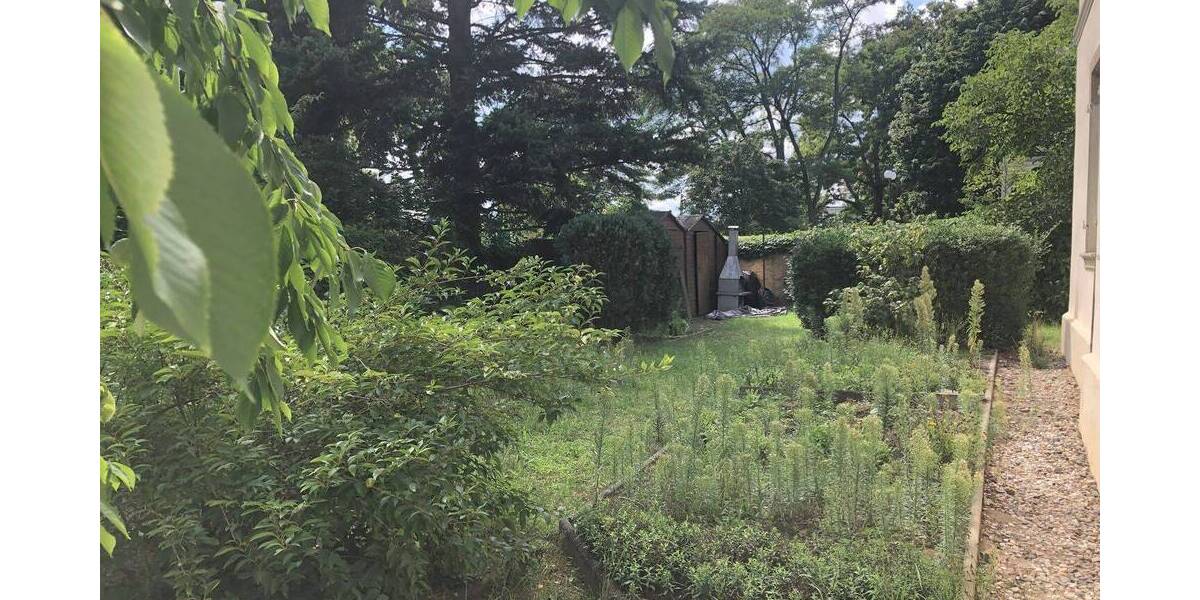 Versteigerungsimmobilie Radebeul - 800.000&euro; | Angebot:25682324