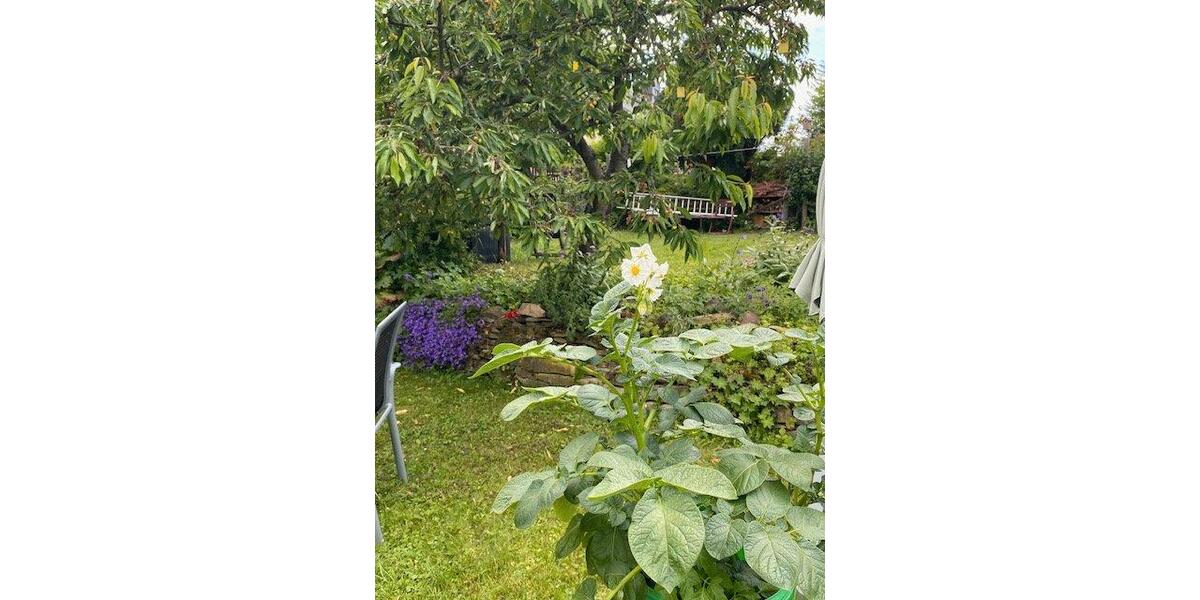 Einfamilienhaus Dresden Prohlis - 5 Zimmer, 130 m&sup2;, 520.000&euro; | Angebot:26837288