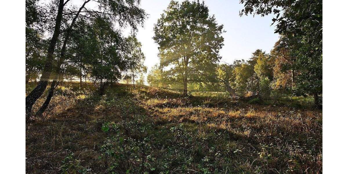 Etagenwohnung Radeberg Ullersdorf - 3 Zimmer, 76 m&sup2;, 269.800&euro; | Angebot:24910907