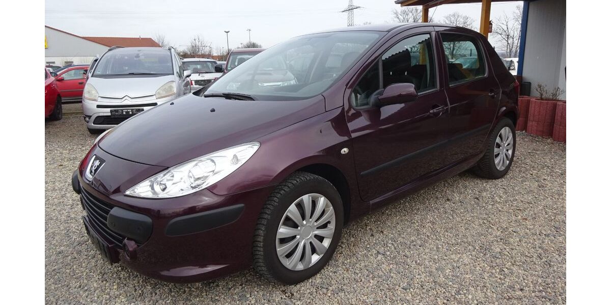 Peugeot 307 134.931 km 1.700 &euro; Dresden 01219