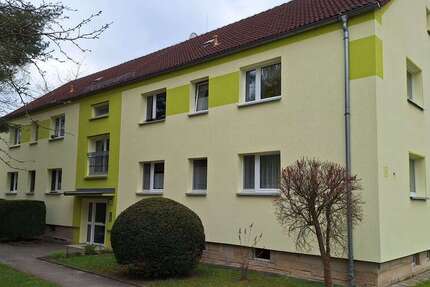 Wohnung zum Mieten in Pirna 250 € 39.9 m²