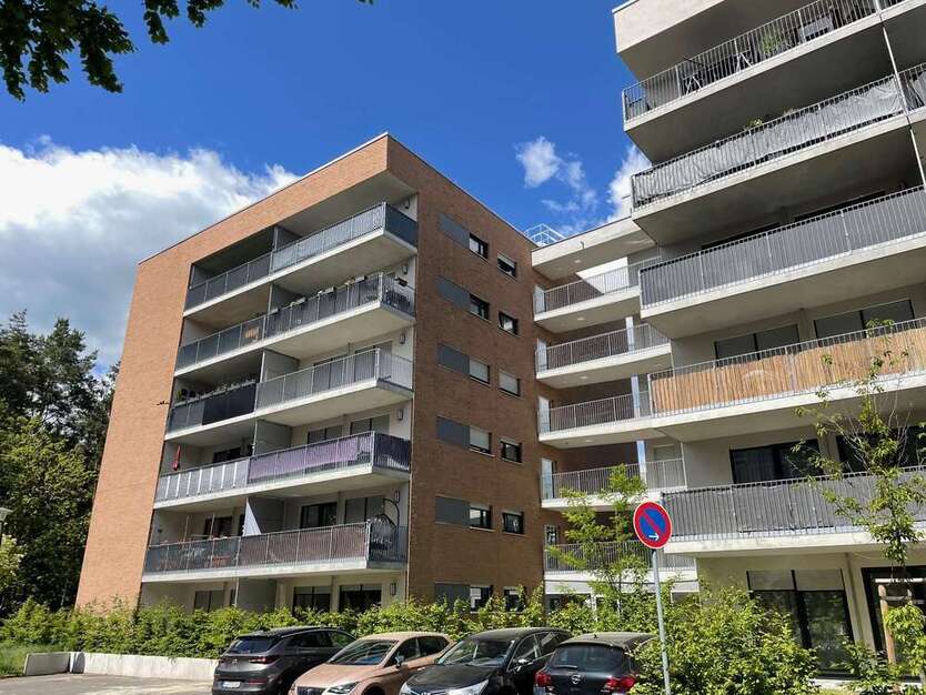 Wohnung zum Mieten in Dresden 520 € 40.75 m²
