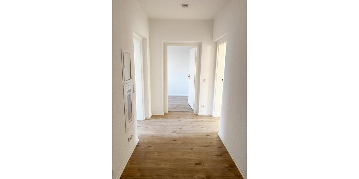 Etagenwohnung Dresden Blasewitz - 3 Zimmer, 56 m&sup2;, 616&euro; | Angebot:26448771