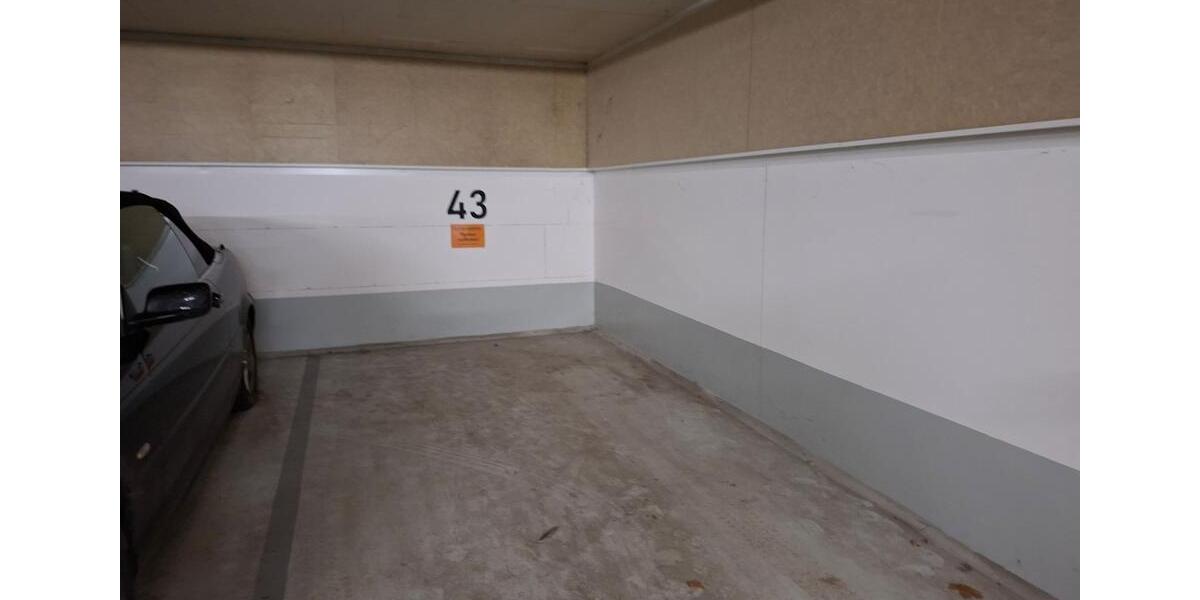 Etagenwohnung Dresden Plauen - 4 Zimmer, 165 m&sup2;, 2.235&euro; | Angebot:25054412