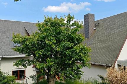 Haus Dippoldiswalde - 5 Zimmer, 124 m&sup2;, 399.000&euro; | Angebot:27128124