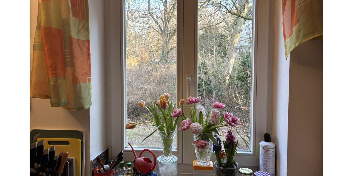 Traumhafte 5-Zimmer Eigentumswohnung im Park in absoluter Bestlage am Waldrand - Erdgeschoßwohnung Coswig | Angebot:25060534