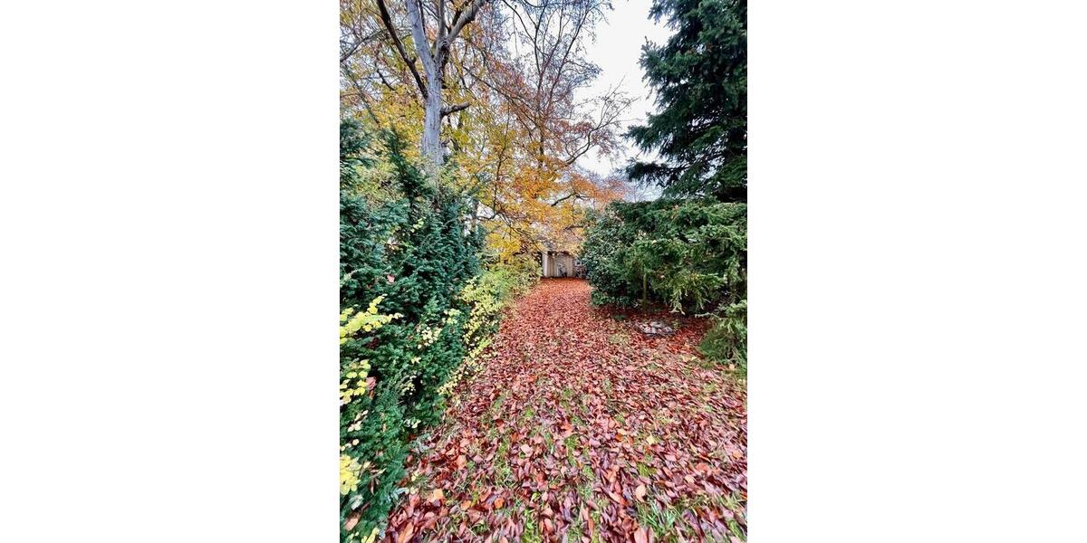 Einfamilienhaus Dresden Klotzsche - 3 Zimmer, 100 m&sup2;, 180.000&euro; | Angebot:24794224