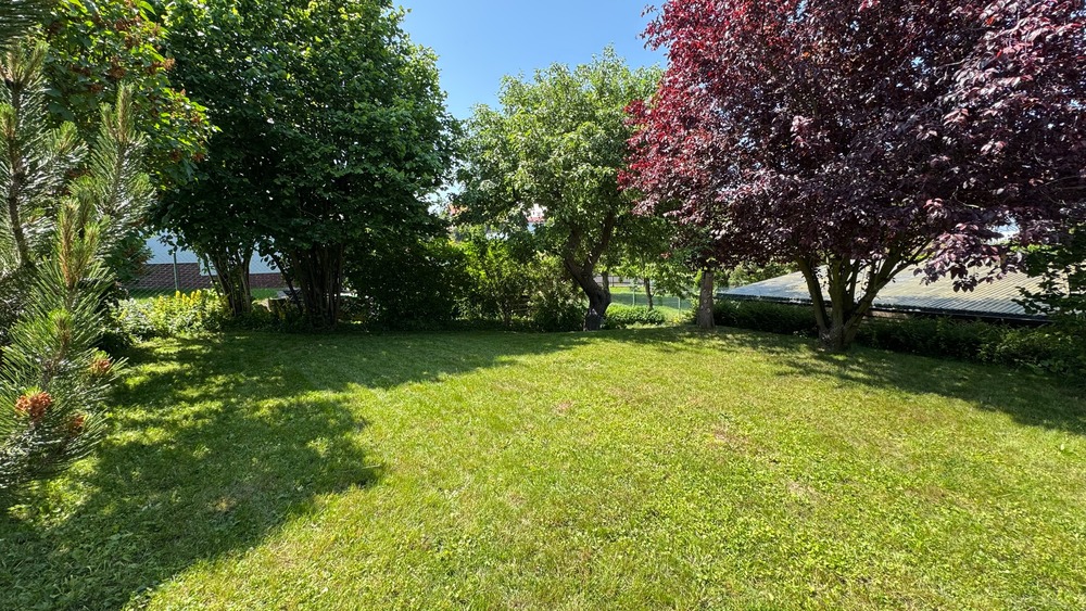 Helles, großes Einfamilienhaus mit Einliegerwohnung und Büro, Praxis oder Ferienwohnung - Einfamilienhaus Pohrsdorf Pohrsdorf | Angebot:26287315