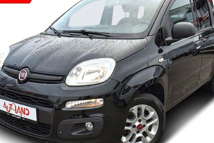 Fiat Panda 49.987 km 8.990 &euro; Dresden 01239