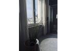 Einfamilienhaus Dresden Cotta - 3 Zimmer, 77 m&sup2;, 570.000&euro; | Angebot:27432881