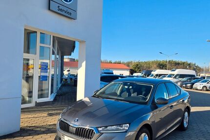 Skoda Octavia 24.000 km 23.990 &euro; Königsbrück 01936