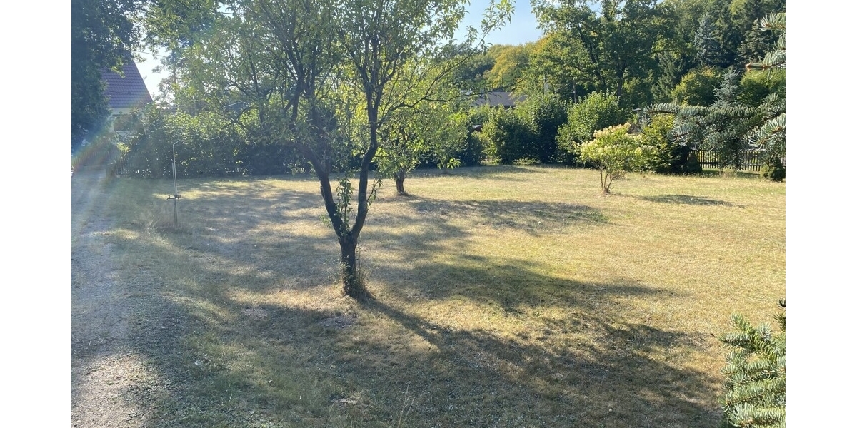 Naturidylle trifft Familienglück: Exklusives 1573 m² Filet- Baugrundstück am Waldrand von Moritzburg - Grundstück Moritzburg | Angebot:27450921