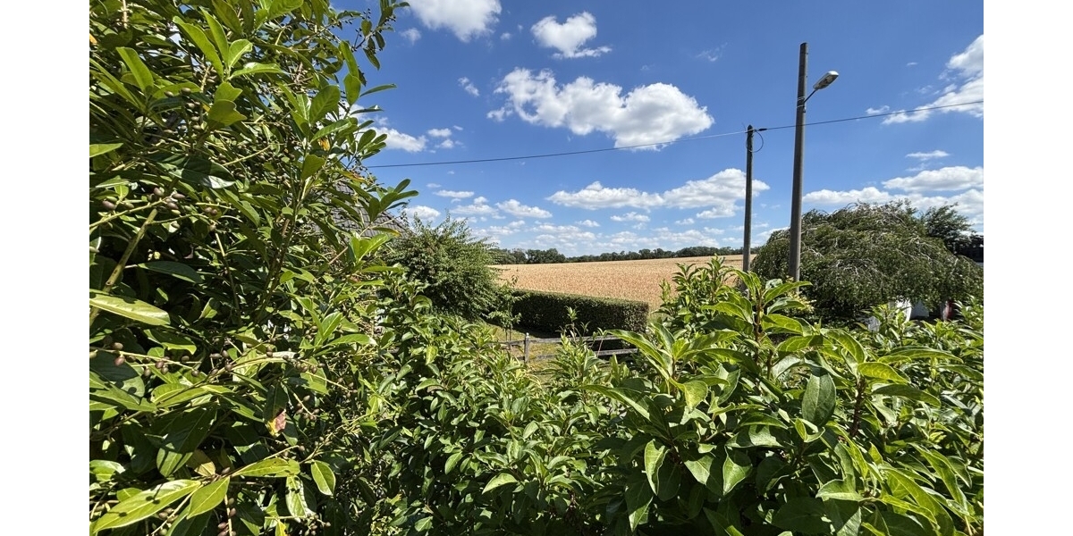 Naturerlebnis vor den Toren der Stadt - Ihr neues Familienzuhause in Klipphausen-Bockwen - Einfamilienhaus Klipphausen | Angebot:27133205