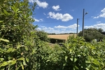 Naturerlebnis vor den Toren der Stadt - Ihr neues Familienzuhause in Klipphausen-Bockwen - Einfamilienhaus Klipphausen | Angebot:27133205