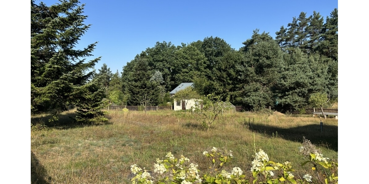 Einfamilienhaus mit ganz viel Potential und XL Grundstück in begehrter und ruhiger Siedlungslage - Einfamilienhaus Weinböhla | Angebot:27156514