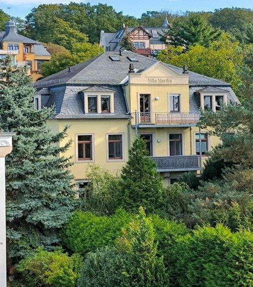 Etagenwohnung Dresden / Trachenberge Pieschen-Nord/Trachenberge - 2 Zimmer, 49 m&sup2;, 450&euro; | Angebot:25879254