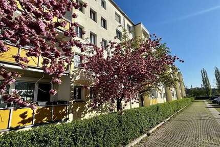 Wohnung Dresden Blasewitz - 2 Zimmer, 51 m&sup2;, 130.000&euro; | Angebot:26364476