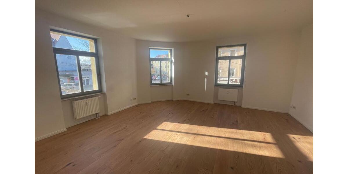 Helles 1-Zimmer-Apartment in Dresden zur Miete 1 zimmer