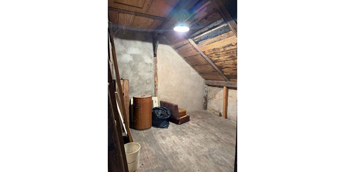 Großzügiges Hanggrundstück mit Altbestand und herrlichem Elbe Blick 5 zimmer