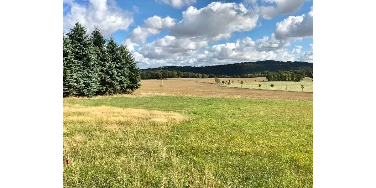 Grundstück Steina - 250.000&euro; | Angebot:25781039