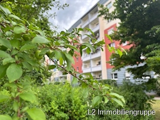 Attraktive 3- Raum ETW im EG in ruhiger Lage in Coswig - Wohnung Coswig | Angebot:27225281