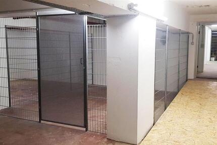 Gewerbeobjekt Dresden Klotzsche - 289&euro; | Angebot:23299494
