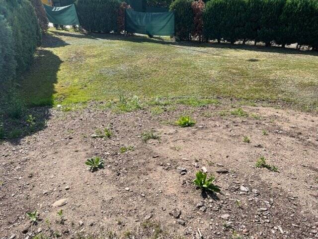 Grundstück Freital - 95.000&euro; | Angebot:25734466