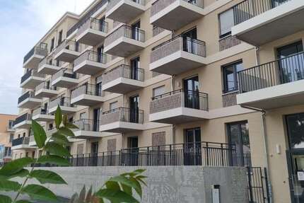 Wohnung zum Mieten in Dresden 1.715 € 114.4 m² 4 zimmer