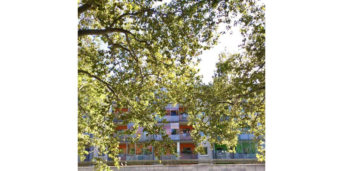 Gewerbeobjekt Dresden Neustadt - 200&euro; | Angebot:23358003