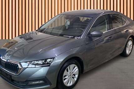 Skoda Octavia 90.445 km 18.980 € Dresden/Weißig 01328