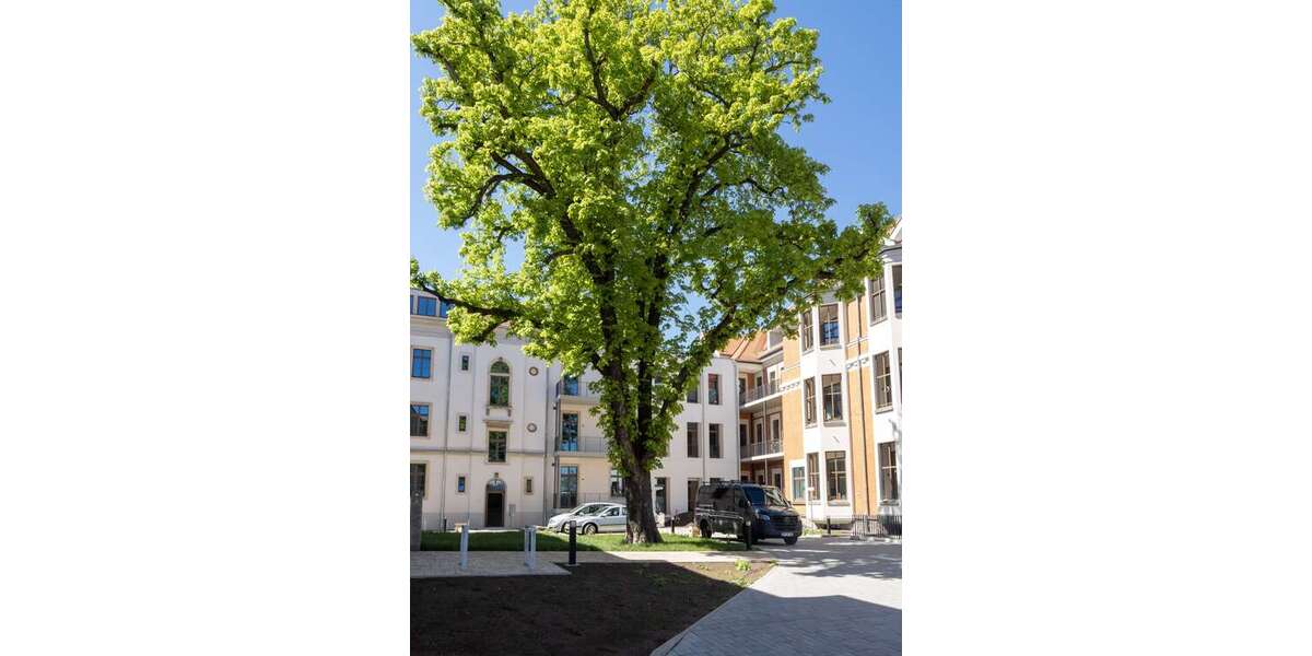 Etagenwohnung Meißen - 2 Zimmer, 42 m&sup2;, 466&euro; | Angebot:26956379