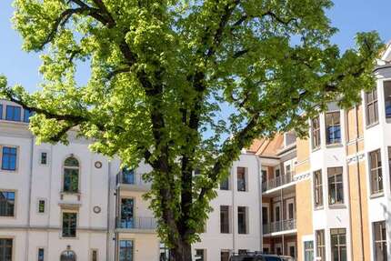 Wohnung Meißen - 2 Zimmer, 42 m&sup2;, 466&euro; | Angebot:26956379