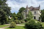 Etagenwohnung Dresden Blasewitz - 5 Zimmer, 248 m&sup2;, 2.975&euro; | Angebot:26442334