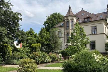 Wohnung Dresden Blasewitz - 5 Zimmer, 248 m&sup2;, 2.975&euro; | Angebot:26472258