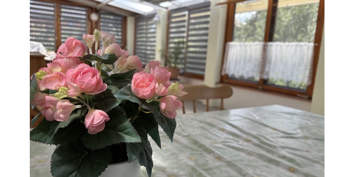 Naturerlebnis vor den Toren der Stadt - Ihr neues Familienzuhause in Klipphausen-Bockwen - Einfamilienhaus Klipphausen | Angebot:27133205