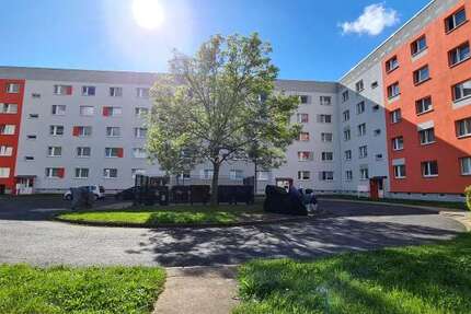 Wohnung zum Mieten in Pirna 334,46 € 65.58 m²
