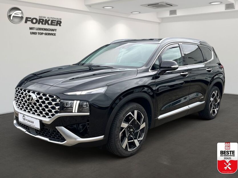 Hyundai SANTA FE 43.450 km 38.750 € Pirna bei Dresden 01796