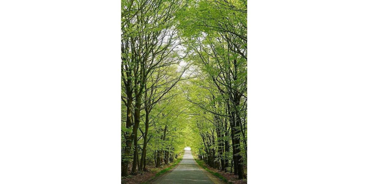 Etagenwohnung Ullersdorf Ullersdorf - 4 Zimmer, 99 m&sup2;, 352.870&euro; | Angebot:25734508