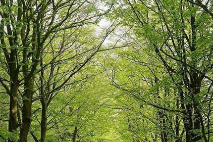 Wohnung Ullersdorf Ullersdorf - 4 Zimmer, 99 m&sup2;, 352.870&euro; | Angebot:25734508