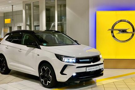 Opel Grandland (X) 15.000 km 32.495 &euro; Heidenau 01809