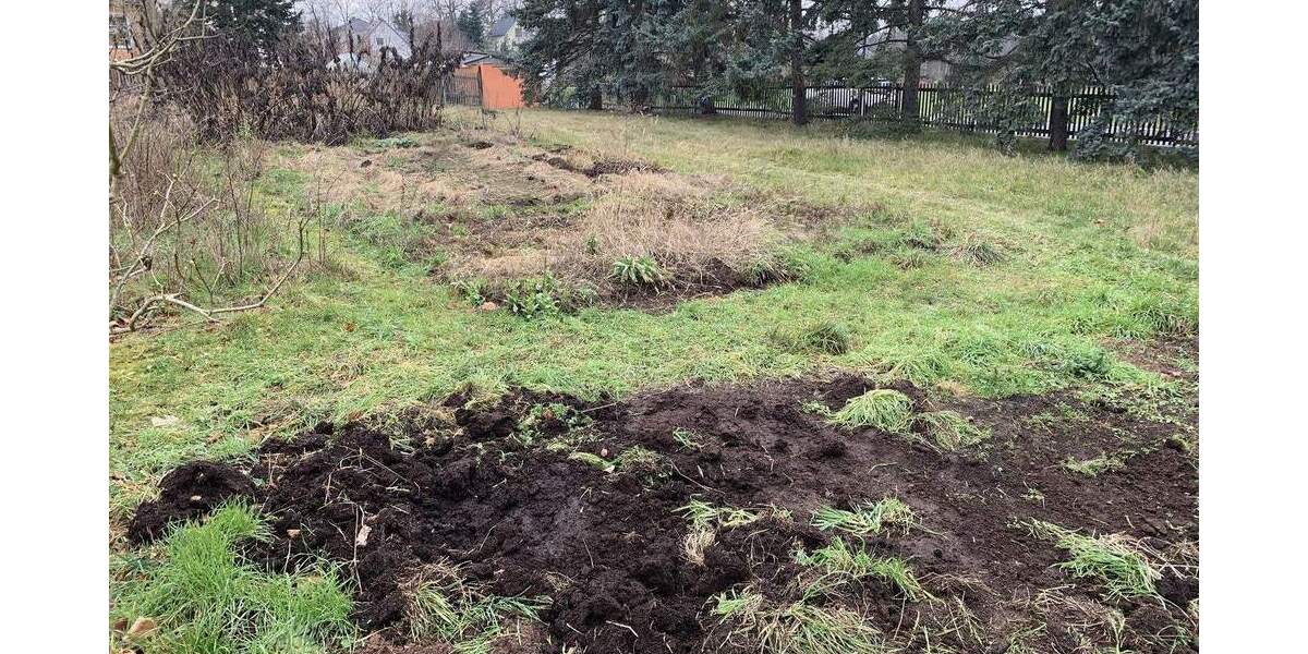 Grundstück Moritzburg / Friedewald Friedewald - 795.000&euro; | Angebot:25667952