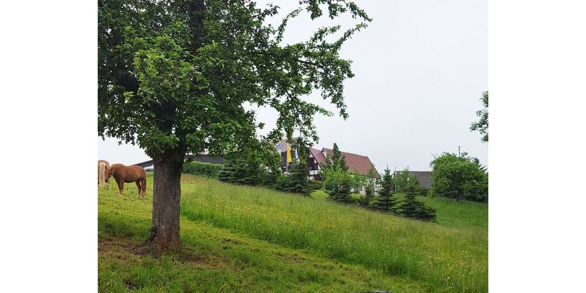Grundstück Dorfhain - 95.000&euro; | Angebot:26800011