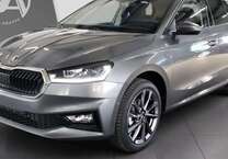 Gebrauchtwagen Skoda Fabia
