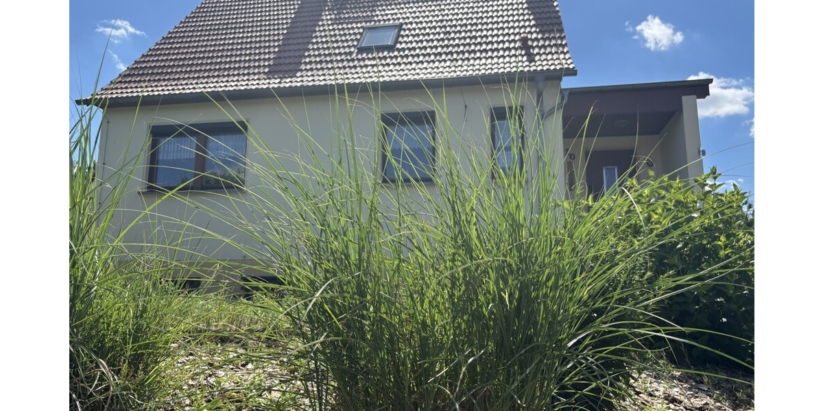 Naturerlebnis vor den Toren der Stadt - Ihr neues Familienzuhause in Klipphausen-Bockwen - Einfamilienhaus Klipphausen | Angebot:27133205